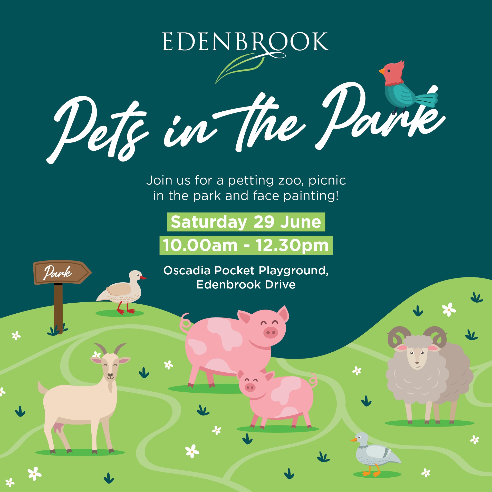 Petting Zoo in the Park Edenbrook Rockhampton House and Land for